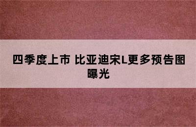 四季度上市 比亚迪宋L更多预告图曝光